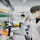 원앤컴퍼니