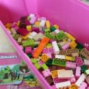 주니어목장 이미지