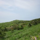 동천지하도2 이미지