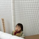 두두어린이집 | 미니두두 스카프 버전2 공구 성공 후기 ! 미니두두 크리스마스 에디션 4컬러 후기