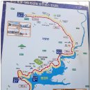 자양벚꽃100리길 이미지