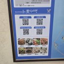 제주생태관광주