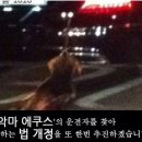 에쿠스PC 이미지