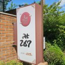 여행 영어 | 충남 부여 궁남지 인근 브런치 맛집, 카페 at267에 다녀온 내돈내산 솔직후기(주차, 메뉴, 운영시간 등)