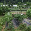 툇골캠핑장 이미지