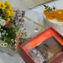 아방궁노래방 | 10월 둘째주 photo dump