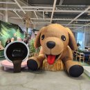 고잉투랩 동부산점 | 신혼부부 주말 데이트 | 이케아 동부산점 쇼룸·쇼핑 후기