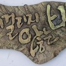 그물에걸리지않는바람처럼