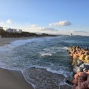 실속대박수산 | 시원한 겨울 석화!! 모듬회와 함께 가락수산시장 대박수산 이용 후기