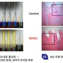파이프조인트주식회사