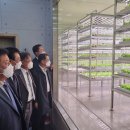 위더스팜 이미지