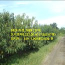 봉산1리마을회관 | [세종연서면토지(임야)경매] 연서면 월하리 산43-8 경매 2023타경7829