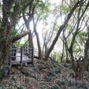 푸른 제주 이미지