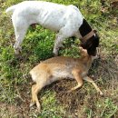 영포농장 이미지