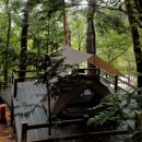 입화산참살이숲야영장 이미지