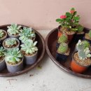 춘포지역아동센터 이미지