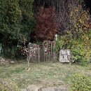 분성체육공원? 이미지