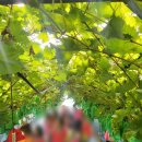 재민농장 이미지