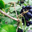 영걸농장 이미지