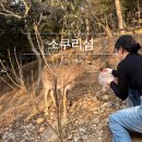 게스트하우스 하얀언덕 | 진해 소쿠리섬 사슴 먹이 팁 배편가격 예약방법 소요시간