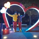 양지요양원 이미지