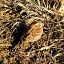 신산5리마을회관 이미지