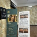 비비드에스테틱 | 목포피부관리 추천 예신 관리로 유명한 “웨디아에스테틱 목포점”비비드 스몰 페이스코치 후기
