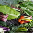 한라봉브로콜리 이미지