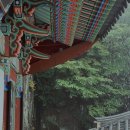 하동광성에너지(주) | 구례 하동 2박3일 여행기록