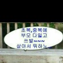 복