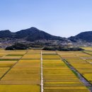 소라면 가사리 이미지