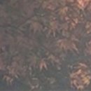 와인치과의원 이미지