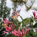 자연과호수2 이미지