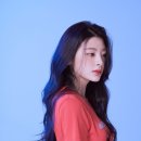 수민정보