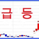 보성유화 이미지