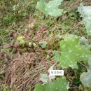 송산경로당 이미지