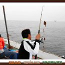 동해세꼬시 이미지