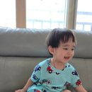 에이치에프에프 네이버블로그