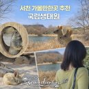 전북군산지역자활센터(오늘뭐멍) | 서천 가볼만한곳 추천 국립생태원 완벽했던 데이트 코스 후기