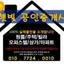 구공설운동장 네이버블로그