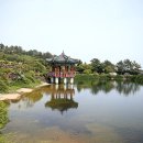 서귀포KAL호텔 이미지