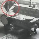 서귀포경찰서 이미지