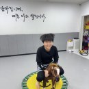 위너스태권도 이미지