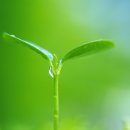 한울프라자 이미지