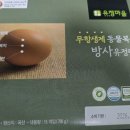 1등급 계란인증 이미지
