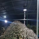 산업인(아) Daum카페
