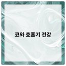 비티성형외과의원 이미지