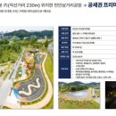 대아포레