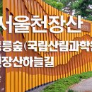 서울홍릉숲, 천장산하늘길 이미지