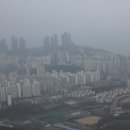 해운대로 875 이미지